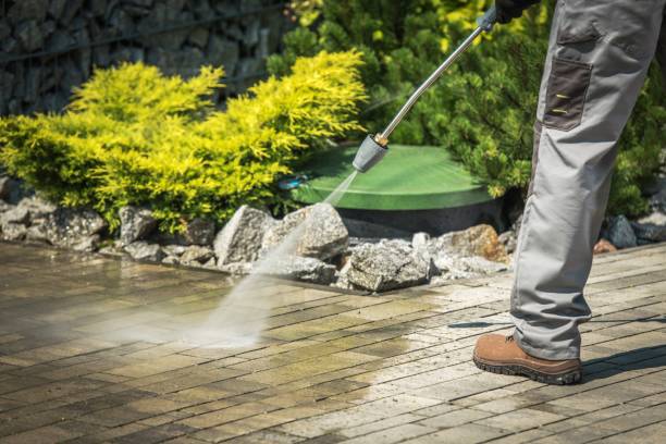 Best Gutter Cleaning  in Berryville, TX