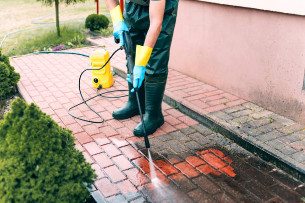 Best Factory Floor Cleaning  in Berryville, TX